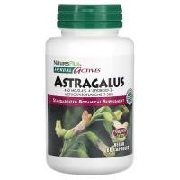 ราคา NaturesPlus, Herbal Actives, Astragalus, 450 mg, 60 Vegan Capsules (NAP-07112)