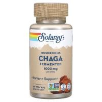 ราคา Solaray, Fermented Chaga Mushrooms, 500 mg, 60 VegCaps (SOR-38735)