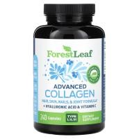 ราคา Forest Leaf, Advanced Collagen, 240 Capsules (FRL-87577)