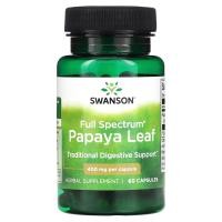 ราคา Swanson, Full Spectrum Papaya Leaf, 400 mg, 60 Capsules (SWV-11496)