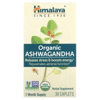 ราคา Himalaya, Organic Ashwagandha, 30 Caplets (HIM-06035)