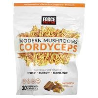 ราคา Force Factor, Modern Mushrooms Cordyceps, Butterscotch, 30 Superfood Soft Chews (FOA-01977)