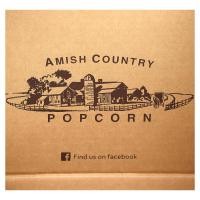 ราคา Amish Country Popcorn, Silicone Microwave Popcorn Popper, Grey, 4 Pieces (AYP-50004)