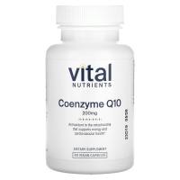 ราคา Vital Nutrients, Coenzyme Q10, 200 mg, 60 Vegan Capsules (VNU-41811)