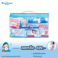 ราคา Karisma แคริสม่า กระเป๋าเตรียมคลอด499 x 1 เซ็ท (32119)
