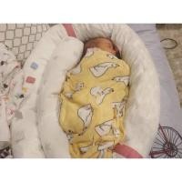 ราคา Minene หมอนงูสารพัดประโยชน์ สีครีมดาวเบจ (29665)