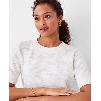 ราคา Ann Taylor Lace Sweater Tee - Winter White (4215634468203)