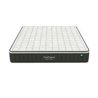 ราคา ที่นอน THERAFLEX รุ่นอีโคดรีม ขนาด 5 ฟุต หนา 12 นิ้ว - สีขาว/เขียวเข้ม THERAFLEX (150005768)