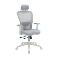 ราคา เก้าอี้ทำงานเพื่อสุขภาพ รุ่นเลม่า - สีเทา LOGICA (200089210)
