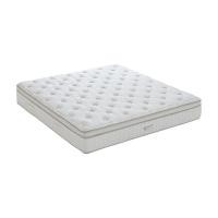 ราคา ที่นอน THERAFLEX รุ่นฮาน่า ขนาด 5 ฟุต หนา 12 นิ้ว - สีขาว/ครีม THERAFLEX (150006043)