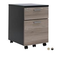 ราคา ตู้เอกสารล้อเลื่อน 2 ลิ้นชัก รุ่นแอคทีฟ INDEX FURNITURE