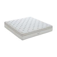 ราคา ที่นอน THERAFLEX รุ่นฮาน่า ขนาด 6 ฟุต หนา 12 นิ้ว - สีขาว/ครีม THERAFLEX (150006044)