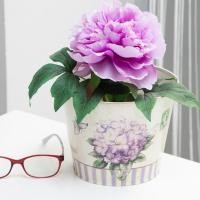 ราคา U-RO DECOR กระถางดอกไม้ รุ่น VIOLET ไซส์ M กระถาง ตกแต่งบ้าน กระถางมินิมอล กระถางต้นไม้ กระถางแต่งบ้าน กระถางราคาถูก (104262875)