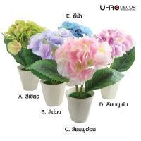 ราคา U-RO DECOR กระถางดอกไม้ประดิษฐ์ รุ่น HYDRENGIA IN POT (ไฮเดรนเยียในกระถางเซรามิก) คละสี ดอกไม้ประดิษฐ์ ตกแต่ง ของตกแต่ง ตกแต่งโต๊ะ decoration home decoration (16441513251)