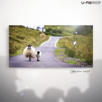 ราคา U-RO DECOR ภาพพิมพ์ รุ่น WALKING SHEEP ขนาด 50x100 ซม. รูปภาพติดผนัง ภาพแขวนผนัง (104295346)
