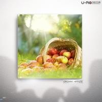 ราคา U-RO DECOR ภาพพิมพ์ รุ่น ORGANIC APPLES ขนาด 70x70 ซม. รูปภาพติดผนัง ภาพแขวนผนัง (104261161)