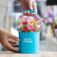 ราคา U-RO DECOR รุ่น SECRET GARDEN-S กระถางดอกไม้ ทรง ถังน้ำมีหูหิ้ว ขนาด L12.5 cm. x H 12 cm. (104262027)