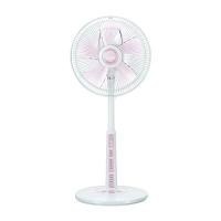 ราคา พัดลมสไลด์ MITSUBISHI รุ่น R12-MZ PE ขนาด 12 นิ้ว สีชมพูพีช (60350971)
