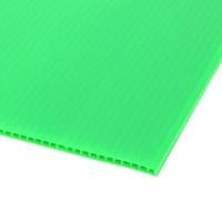 ราคา แผ่นฟิวเจอร์บอร์ด หนา 3 มม. PLANGO ขนาด 65 x 49 ซม. สีเขียวอ่อน (60191646)