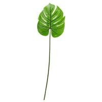 ราคา ใบไม้ประดิษฐ์ ใบว่านเสน่ห์จันทร์ FONTE รุ่น YF19103A สีเขียว (60309734)