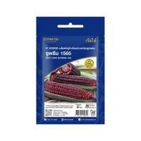 ราคา เมล็ดพันธุ์ข้าวโพดข้าวเหนียวลูกผสม ซูพรีม 1565 SE 10 กรัม เจียไต๋ (60251677)