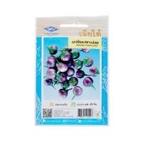 ราคา HG มะเขือเปราะม่วง เจียไต๋ ขนาด 1 กรัม (60251824)