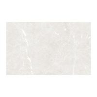 ราคา กระเบื้องผนัง KASSA รุ่น KS-INW187 เอเดน ขนาด 25 x 40 ซม. (กล่อง 10 แผ่น) สีเทาอ่อน Random (60328695)