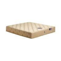 ราคา ที่นอนยางพารา 3.5 ฟุต DUNLOPILLO รุ่น ALTON สีน้ำตาล (60436393)