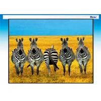 ราคา จอรับภาพโปรเจคเตอร์ แบบมอเตอร์ไฟฟ้า ยี่ห้อ Razr (เรซน์) ขนาดทแยงมุม 100 นิ้ว (4:3) ฟรีรีโมทไร้สาย (695)