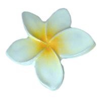 ราคา NAKORNTHAI ดอกลีลาวดีกลีบแหลม 4.8X4 *A (87225)