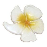 ราคา NAKORNTHAI ดอกลีลาวดีกลีบม้วนกลาง 3.5X3.5 *A (109965)