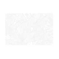 ราคา Cotto กระเบื้องบุผนัง คอตโต้ แพลททาโน่ ขาว R/T 12X18 นิ้ว