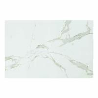 ราคา GANI กระเบื้อง CALACATTA GOLD 70(D692852BM)60X90 *A (1080726)