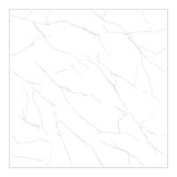 ราคา CAMPANA แก้วมณี ขาว 16X16 *A (1049502)