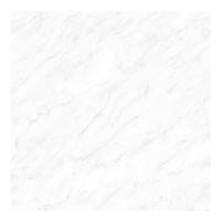 COTTO SOSUCO SA-DRN 60x60 แจสซี่-ขาว (R ) R/T (A)