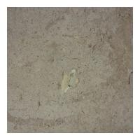 ราคา GRANBLEX หินอ่อนสยามทราโวทีน CSS-H02 9.5 x 9.5 CM (1070719)