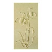 ราคา MELANN รองเท้านารีเหลืองกระบี่ ครีม 33X63 *A (1013714)