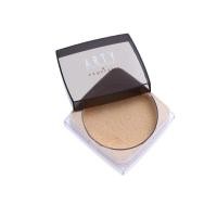 ราคา ARTY PROFESSIONAL EXPERTISE TRANSLUCENT LOOSE POWDER 15g (PAPDFYP C1)