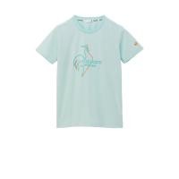 ราคา le coq sportif เสื้อเทรนนิ่ง ออกกำลังกาย ผู้หญิง สีเขียว (T-shirt, เสื้อยืด, เสื้อออกกำลังกาย, lecoq, เลอค็อก) (EIALWTT43P01GRS)