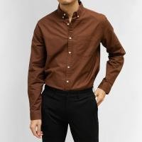 ราคา era-won เสื้อเชิ้ต ทรงปกติ Oxford Shirt แขนยาว คอปก สี Brown (E24MTCO0876BR02)