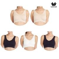 ราคา Wacoal Lingerie Seamless Bra บราสวมหัว เสื้อสายกล้าม 1 Pack 5 pcs รุ่น WH9C24/WH9524 (WH9524X2BE)