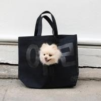 ราคา era-won กระเป๋าผ้า Jumbo tote dog (limited edition) KOREA BAG สี Black Dog Black (E25UACA3500OB00)