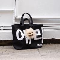 ราคา era-won กระเป๋าผ้า Jumbo tote dog (limited edition) KOREA BAG สี Black Dog White (E25UACA3500OW00)