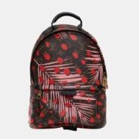 ราคา Louis Vuitton Palm spring Backpack in Brown Monogram Canvas (755964)