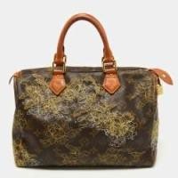 ราคา Louis Vuitton Monogram Canvas and Leather Limited Edition Dentelle Speedy 30 Bag (772906)