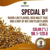 ราคา Special B®/Special Belgium® – Castle Malting® (878)