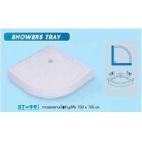 ราคา ถาดรองอาบน้ำเข้ามุมโค้ง (62376)