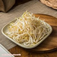 ราคา ถั่วงอกปลอดสารพิษ 200 ก. (8853189000338)