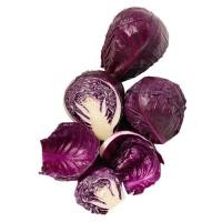 ราคา โครงการหลวง กะหล่ำปลีแดง 400 ก. (2000000255729)