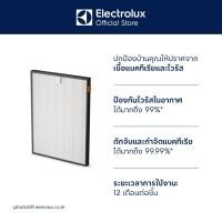 ราคา [อุปกรณ์เสริม] Electrolux EFWCAR5 CARE ultimate protect filter ฟิลเตอร์กรองอากาศ (24286623270)